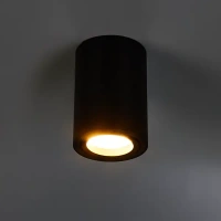 Светильник точечный накладной Arte Lamp Sentry 2 м² цвет черный ARTE LAMP SENTRY
