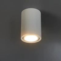Светильник точечный накладной Arte Lamp Sentry 2 м² цвет белый ARTE LAMP SENTRY