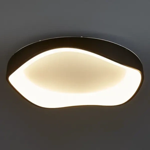Светильник настенно-потолочный светодиодный Ankaa 15 м² регулируемый белый цвет света цвет черный ARTE LAMP ANKAA