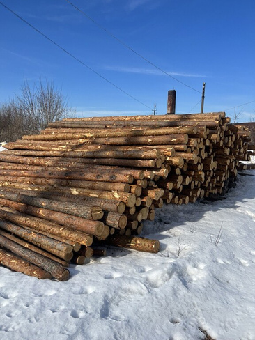 Столб для забора деревянный Ø 100-170, 6000 мм