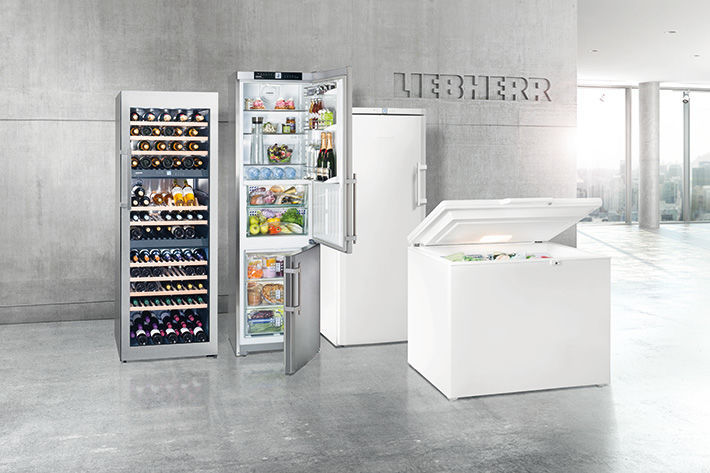 Как выбрать сервис по ремонту холодильников Liebherr