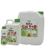 Удобрение Salica-CAL 9+B. 1л*20шт 5 л*4 шт