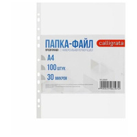 Calligrata Папка-файл Премиум, А4, 30 мкм, глянцевые, прозрачный